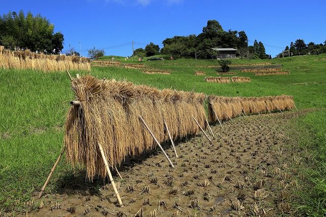 優秀賞１　踏ん張る-鎌田哲男